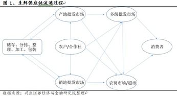 2019年农产品供应链行业深度研究报告 凌云集团供应链模式解析