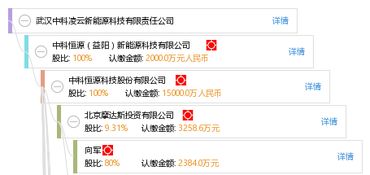 凌云集团供应链 武汉中科凌云的技术创新与整合进程